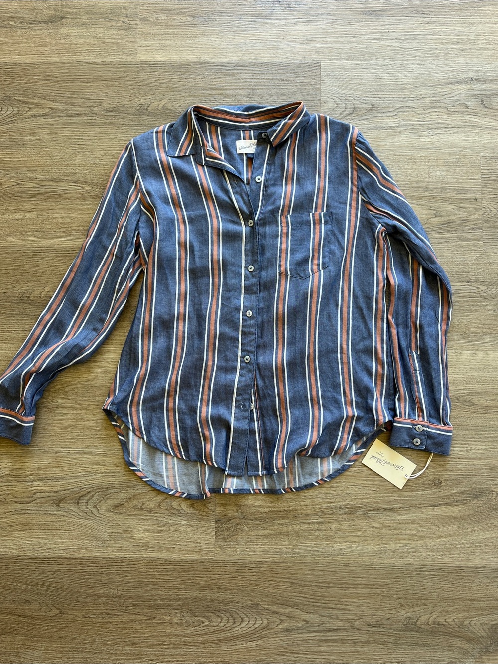 NWT Universal Thread Blue Striped Button-Down Shirt with Rust Accents